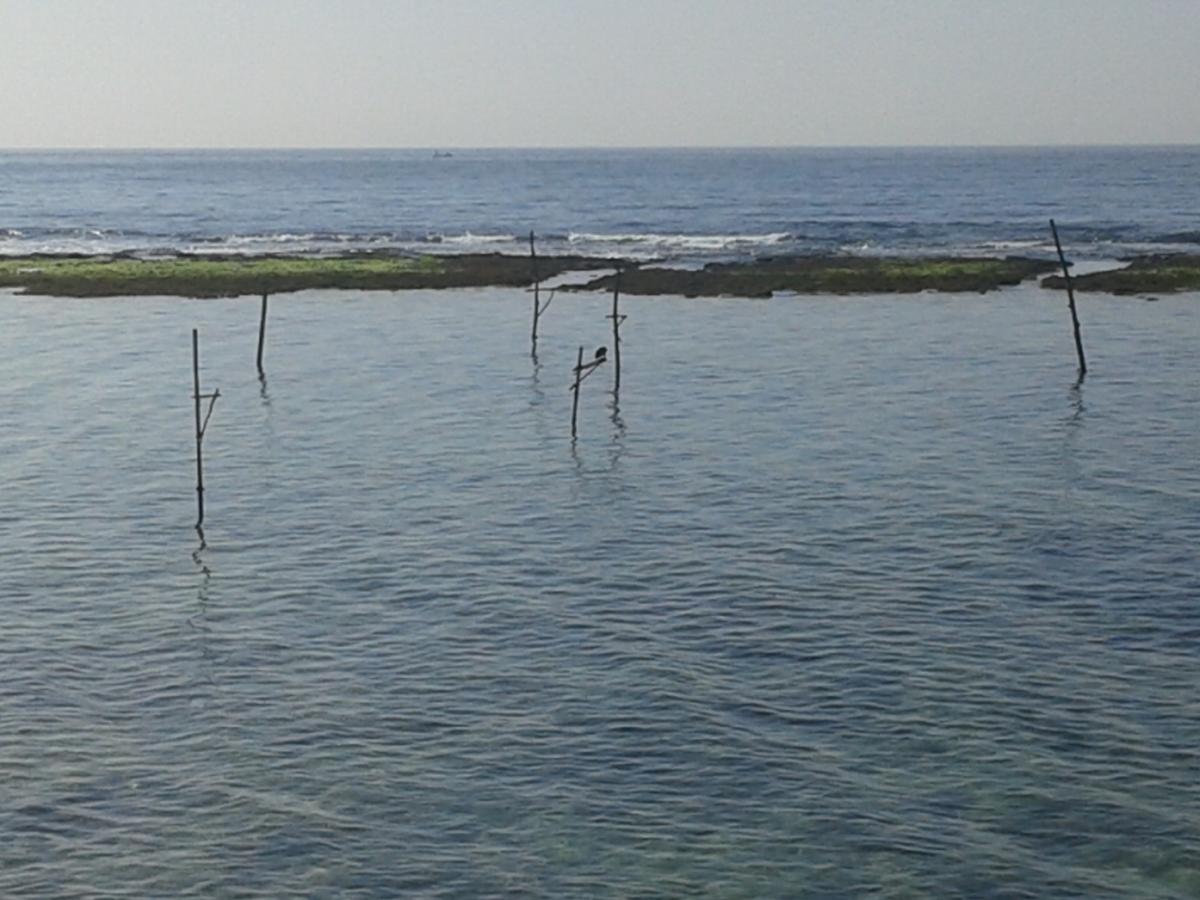 Sunset Surfing Beach Resort Matara Exterior foto